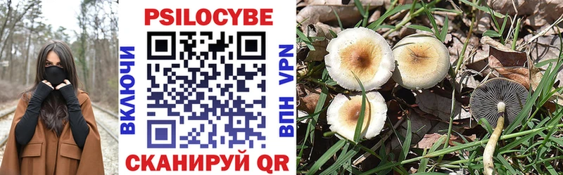 Галлюциногенные грибы MAGIC MUSHROOMS  Ясногорск 